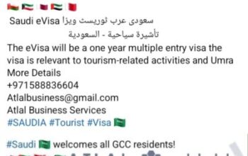 Saudi visit visa apply for an eVisa