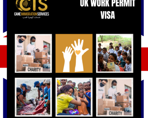 UK Work Permit Services