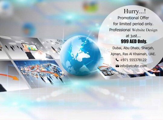 Get Web Design at only AED 999