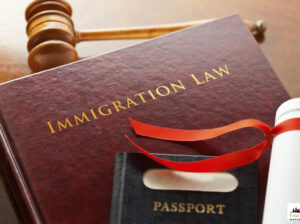 Business Immigration Law UAE