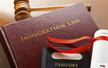 Business Immigration Law UAE