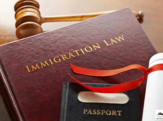 Business Immigration Law UAE