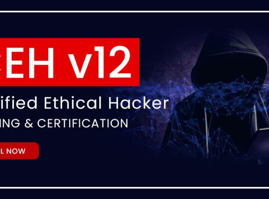 Ethical Hacker Training