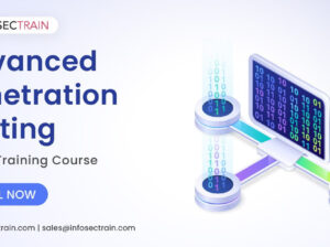 Penetration Testing online training