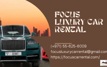 Drive with Confidence: Focus Car Rental