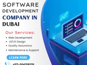Software development company in Dubai