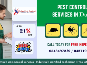 Top 10 Listed Pest – 21% Off Risk Free