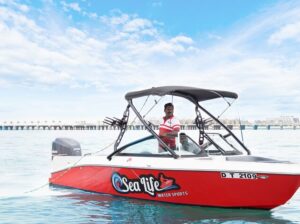 Premier Efoil Water Sports Rentals