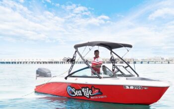 Premier Efoil Water Sports Rentals