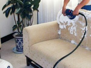 Sofa mattress and carpet cleaning service