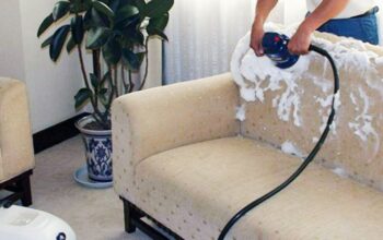 Sofa mattress and carpet cleaning service