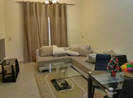 1 BHK FULLY FURNITURE FLAT FOR RENT