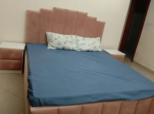 1 BHK FULLY FURNITURE FLAT FOR RENT