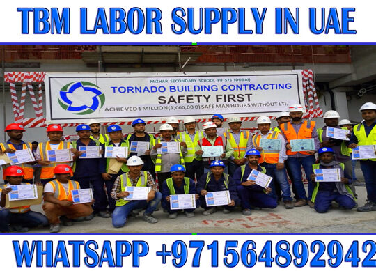 Daily Basic labor supply in Ajman Dubai Sharjah