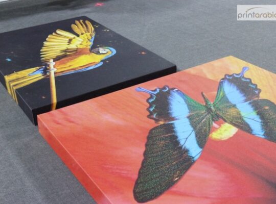 Premium Canvas Printing Dubai | Print Arabia