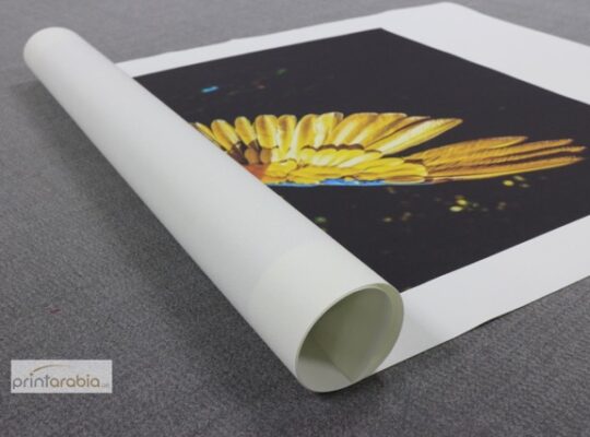 Custom Canvas Printing Dubai – Print Arabia