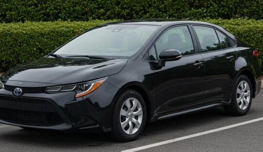 تويوتا كورولا سوداء 2020 ، black Toyota Corolla 20