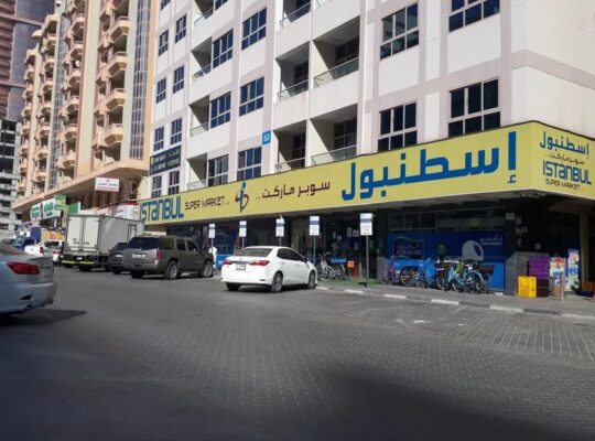 بارتشنات في شقة رائعة بشارع خليفة تتميز بالهدوء و