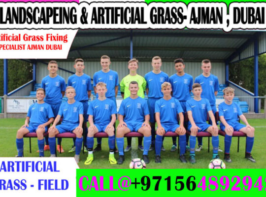 Garden Artificial Grass Fixing In Dubai -Ajman –Sh