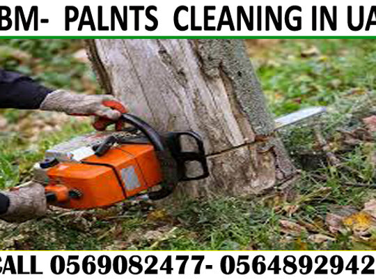 Garden cleaning & Maintenance Contractor