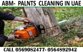 Garden cleaning & Maintenance Contractor