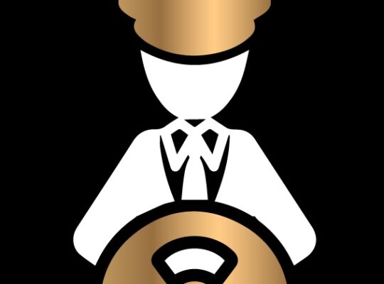 Nishtar Chauffeur Hospitality Services LLC