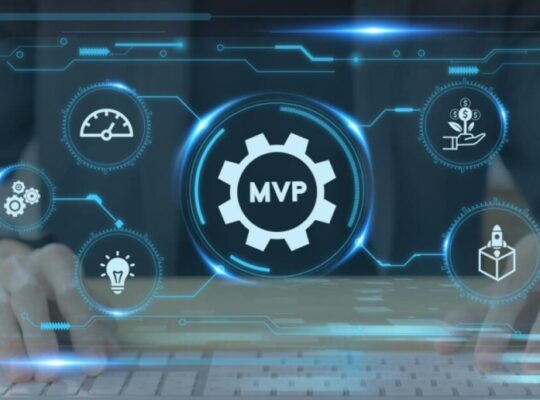 MVP Development Services in Dubai