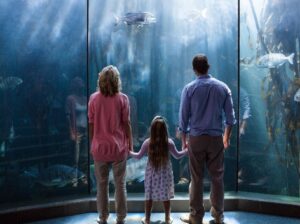 Book Now Dubai Aquarium