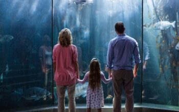 Book Now Dubai Aquarium