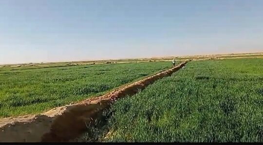 أرض زراعية للبيع في الوادي الجديد، جمهورية مصر
