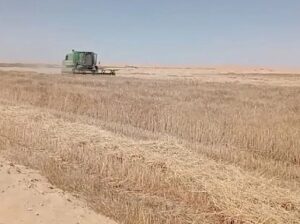 أرض زراعية للبيع في الوادي الجديد، جمهورية مصر