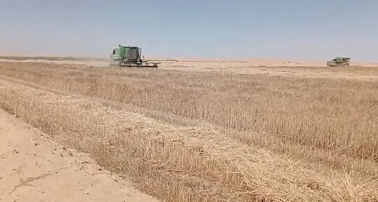 أرض زراعية للبيع في الوادي الجديد، جمهورية مصر