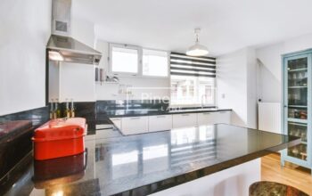 Transform Your Space with Pine Tree Lane