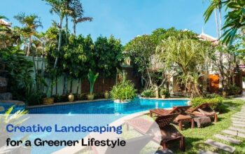 Expert Landscaping Services Abu Dhabi