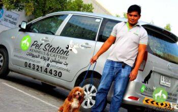 Pet Station Kennels & Cattery