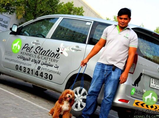 Pet Station Kennels & Cattery