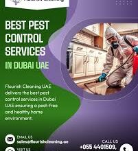 Best Pest Control Services in Dubai UAE