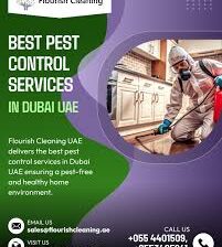Best Pest Control Services in Dubai UAE