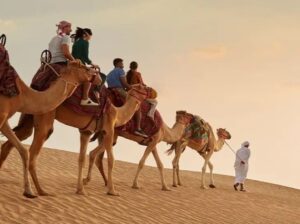 Dubai Desert Safari Tours