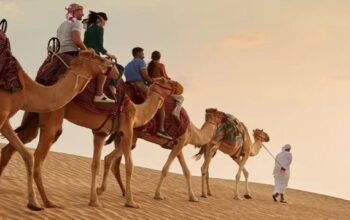 Dubai Desert Safari Tours