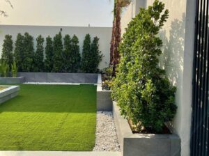 The View Landscape & Garden CO