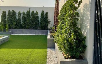 The View Landscape & Garden CO