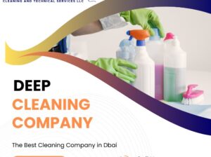 The Benefits of Professional Deep Cleaning