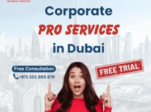 Corporate PRO Services in Dubai