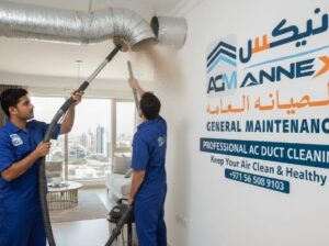 Expert AC Duct Cleaning Services