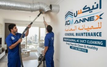Expert AC Duct Cleaning Services