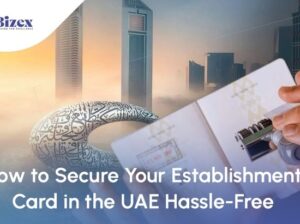 Lowest Cost Packages for Company Formation