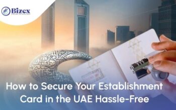 Lowest Cost Packages for Company Formation