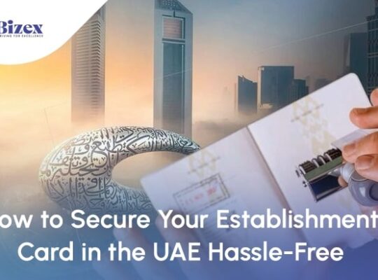 Lowest Cost Packages for Company Formation