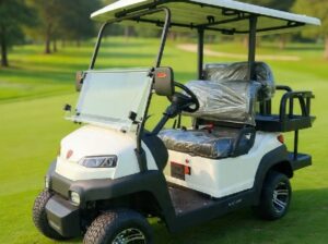 Luxuy Electric Golf Cart Sales
